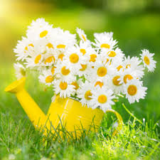 images (8) images (8)